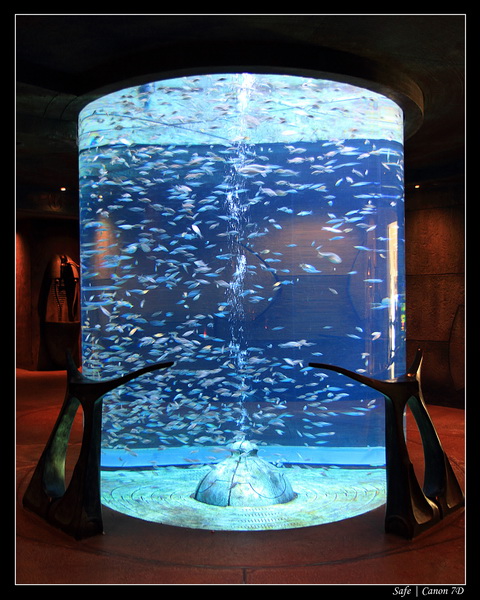 2012 - 06 - Dubai - 001